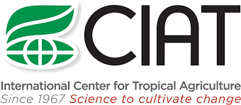 International Centre for Tropical Agriculture- Alliance for a Green Revolution in Africa Jobs Vacancies