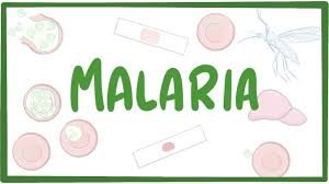 Malaria Disease in Ethiopia