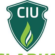 Clarke International University Application Form