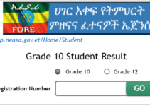 NEAEA Grade 10 Result