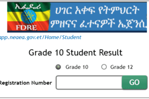 NEAEA Grade 10 Result